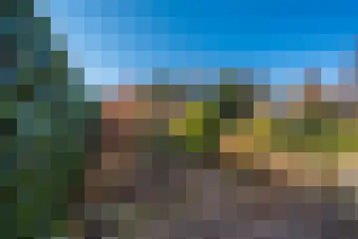 Kruirad 47 Blijham thumbnail 48