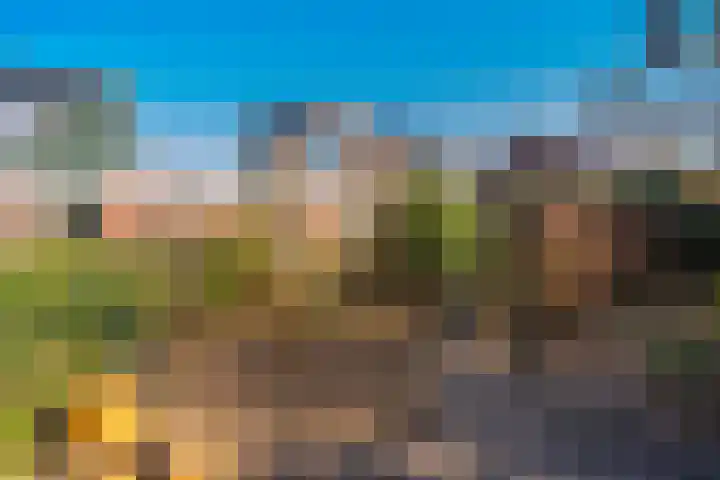 Kruirad 47 Blijham thumbnail 49