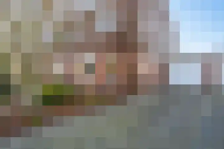 Kruirad 47 Blijham thumbnail 6