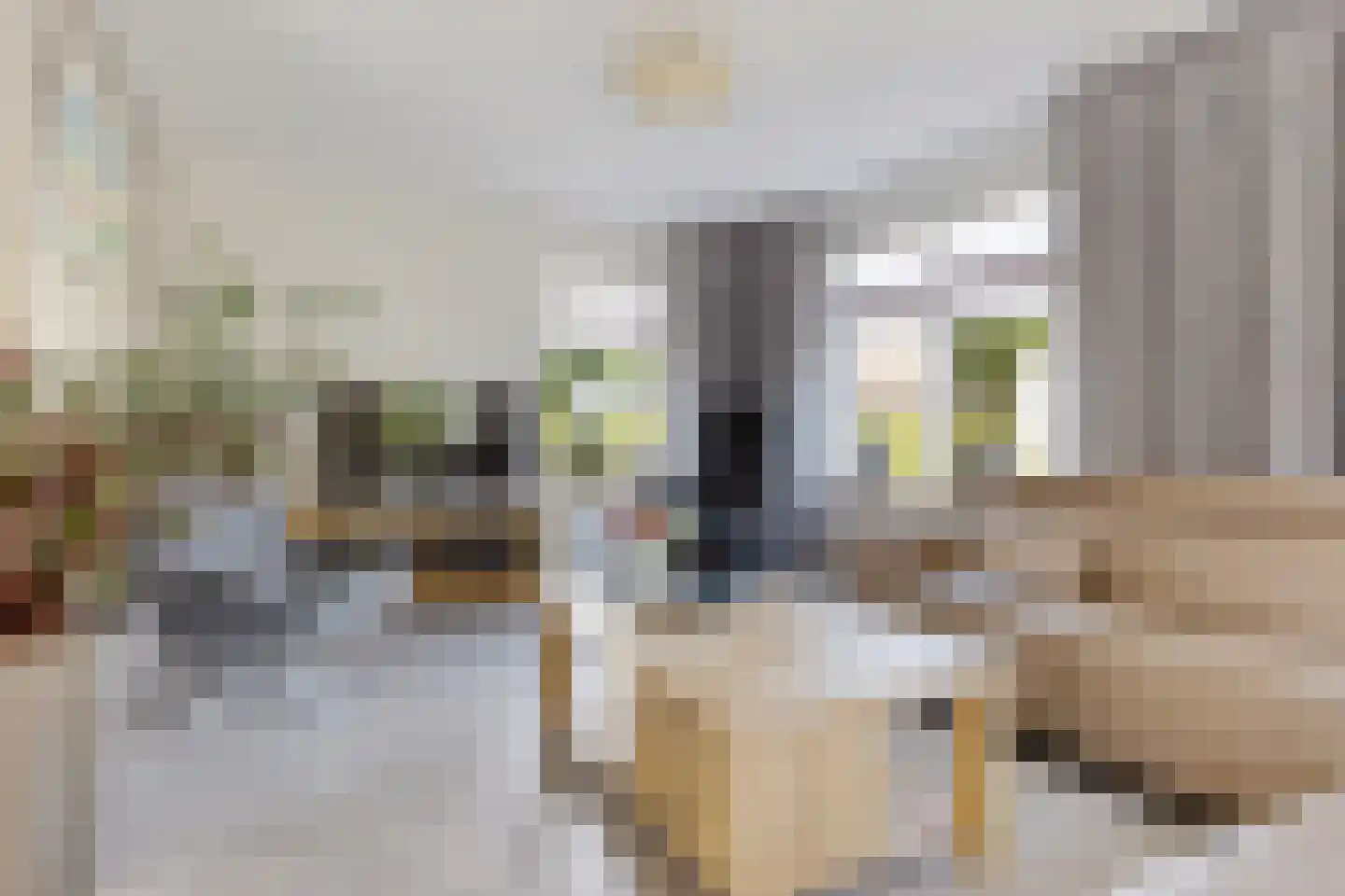 Kruirad 8 Blijham thumbnail 13