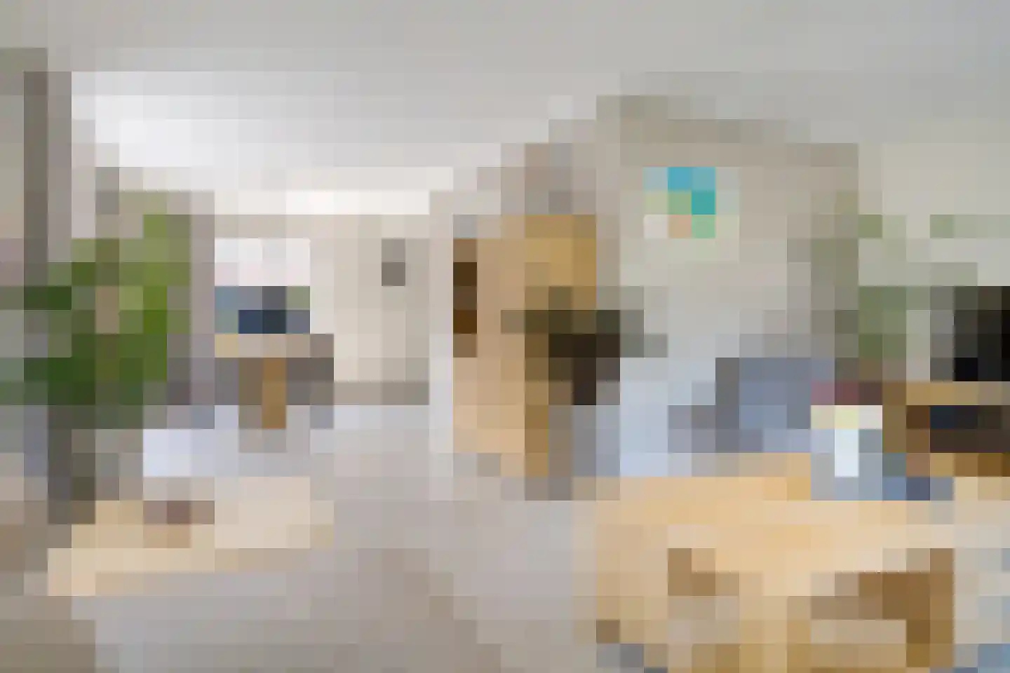 Kruirad 8 Blijham thumbnail 15