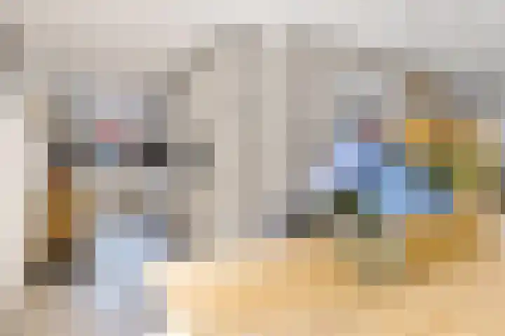 Kruirad 8 Blijham thumbnail 18