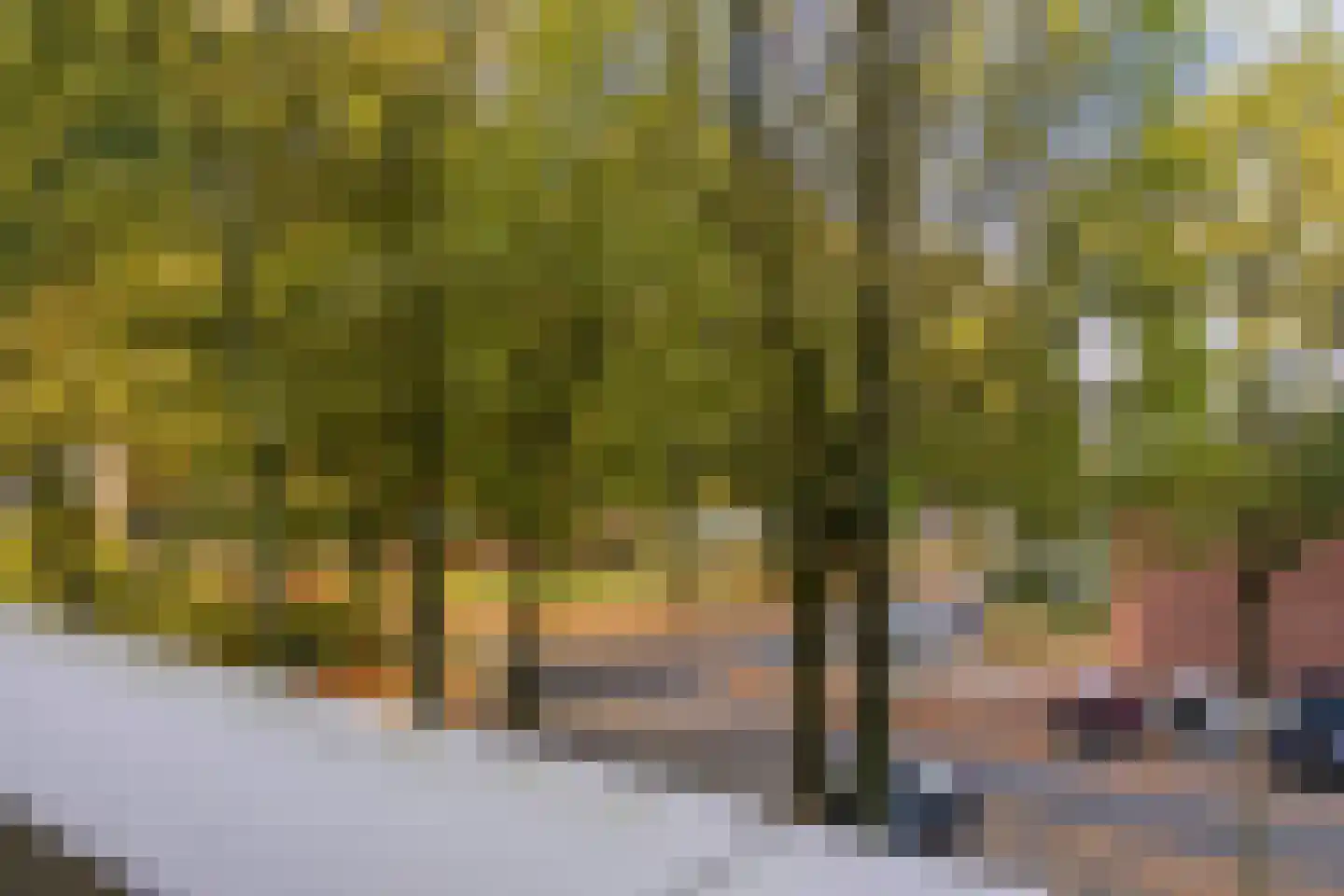 Kruisakker 10 Eindhoven thumbnail 26