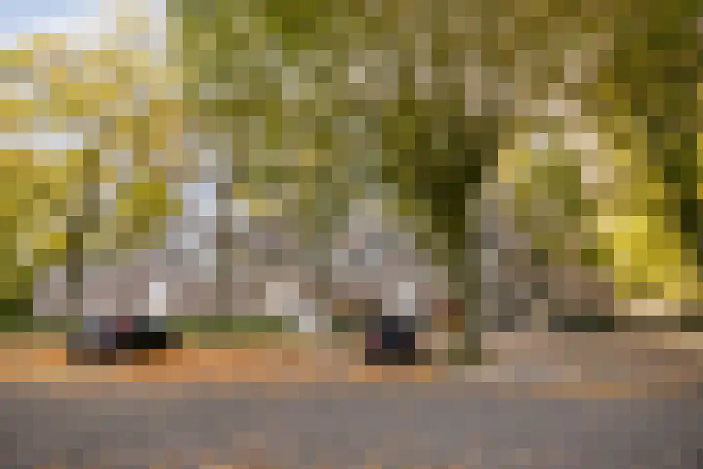 Kruisakker 10 Eindhoven thumbnail 27