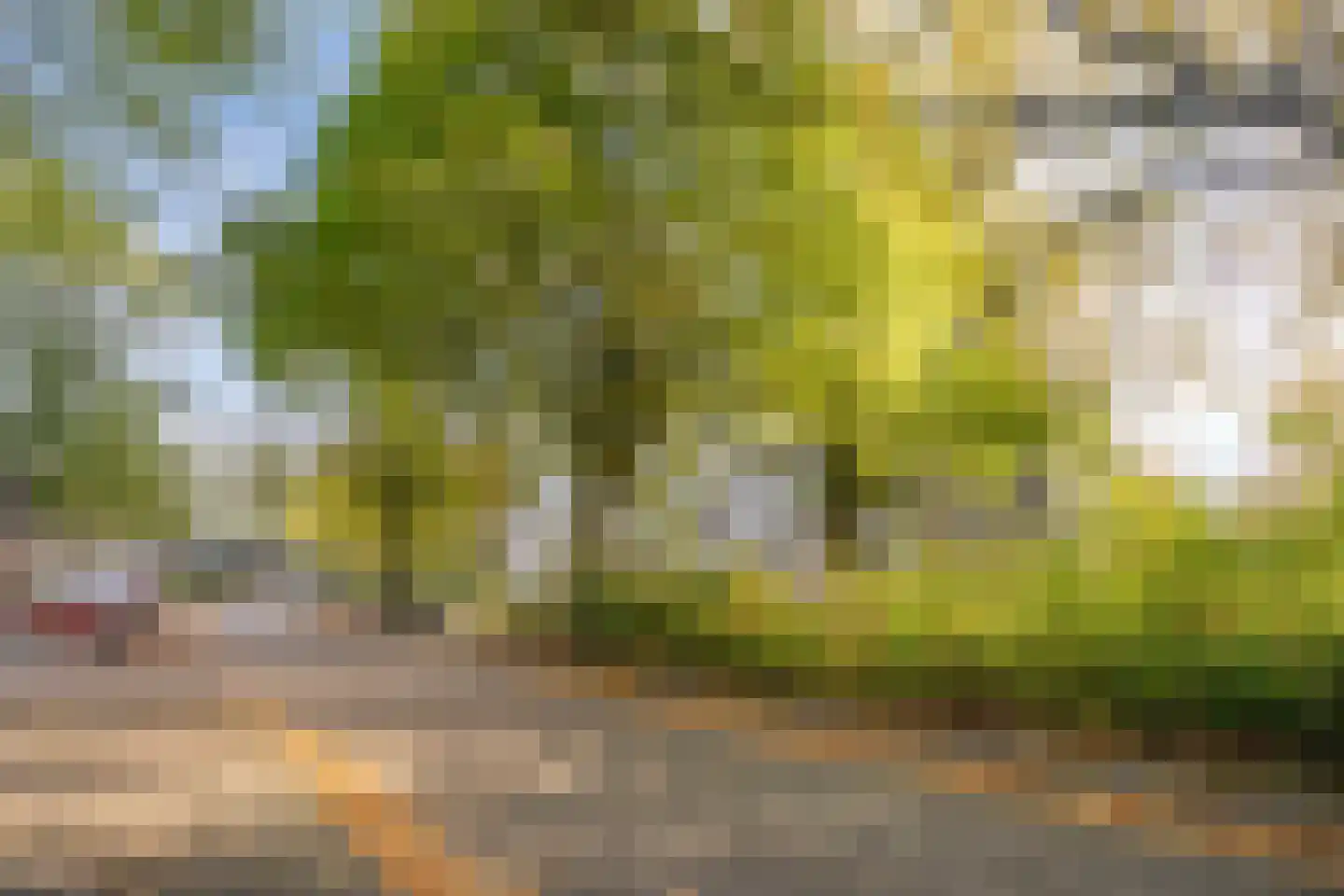Kruisakker 10 Eindhoven thumbnail 28