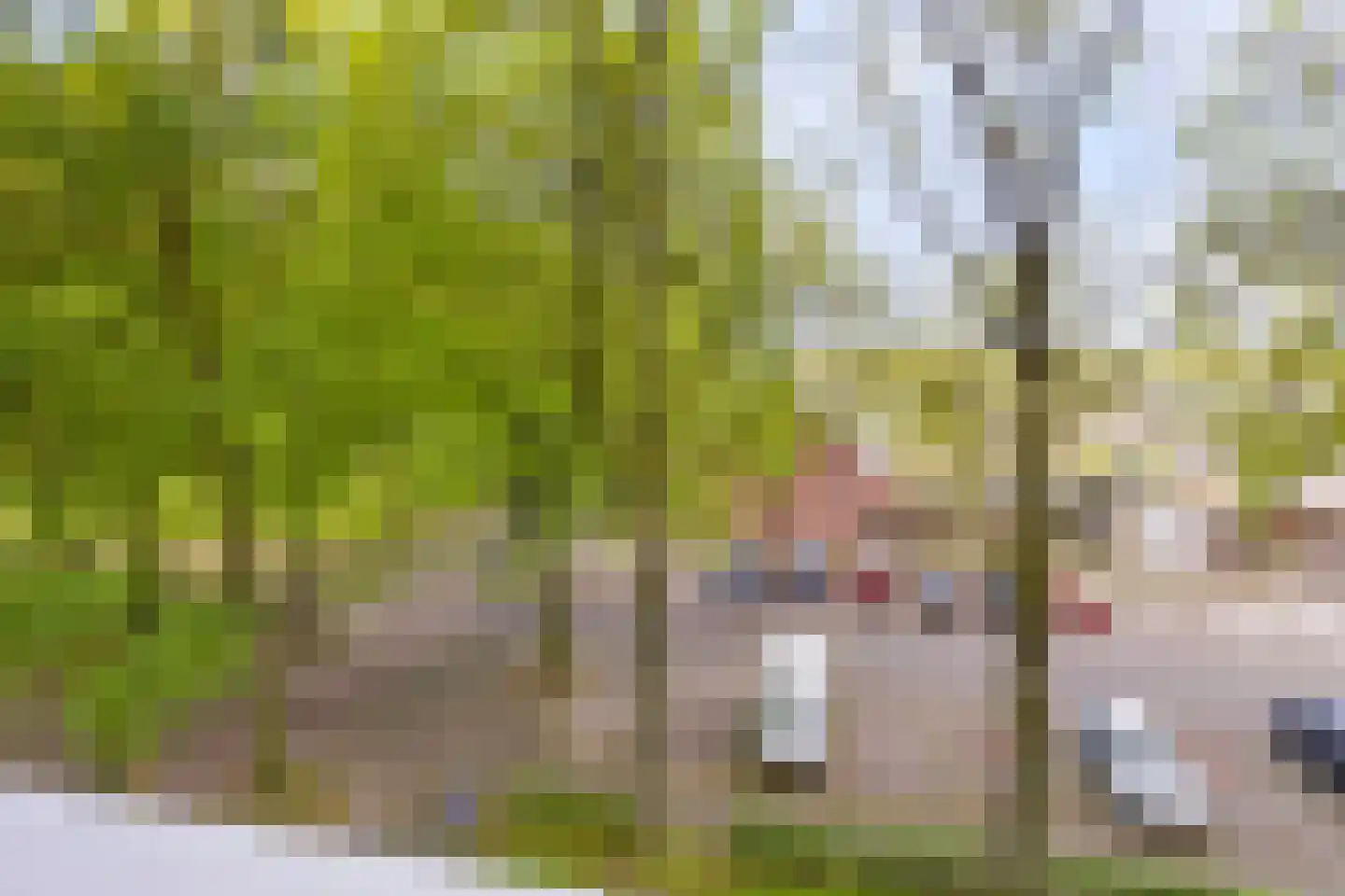 Kruisakker 26 Eindhoven thumbnail 18