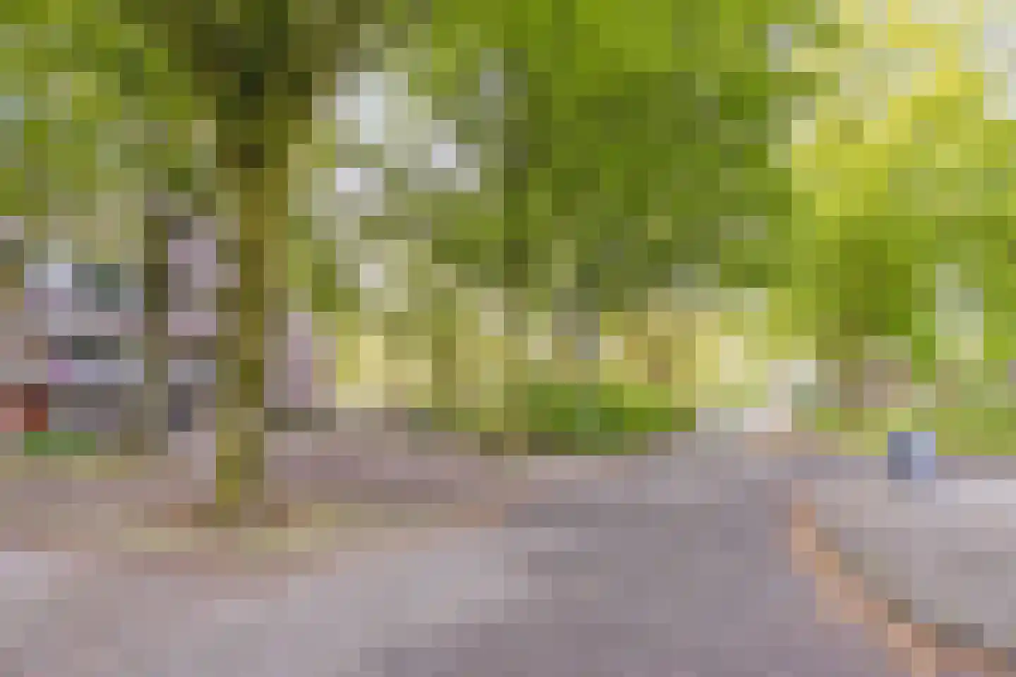 Kruisakker 26 Eindhoven thumbnail 23
