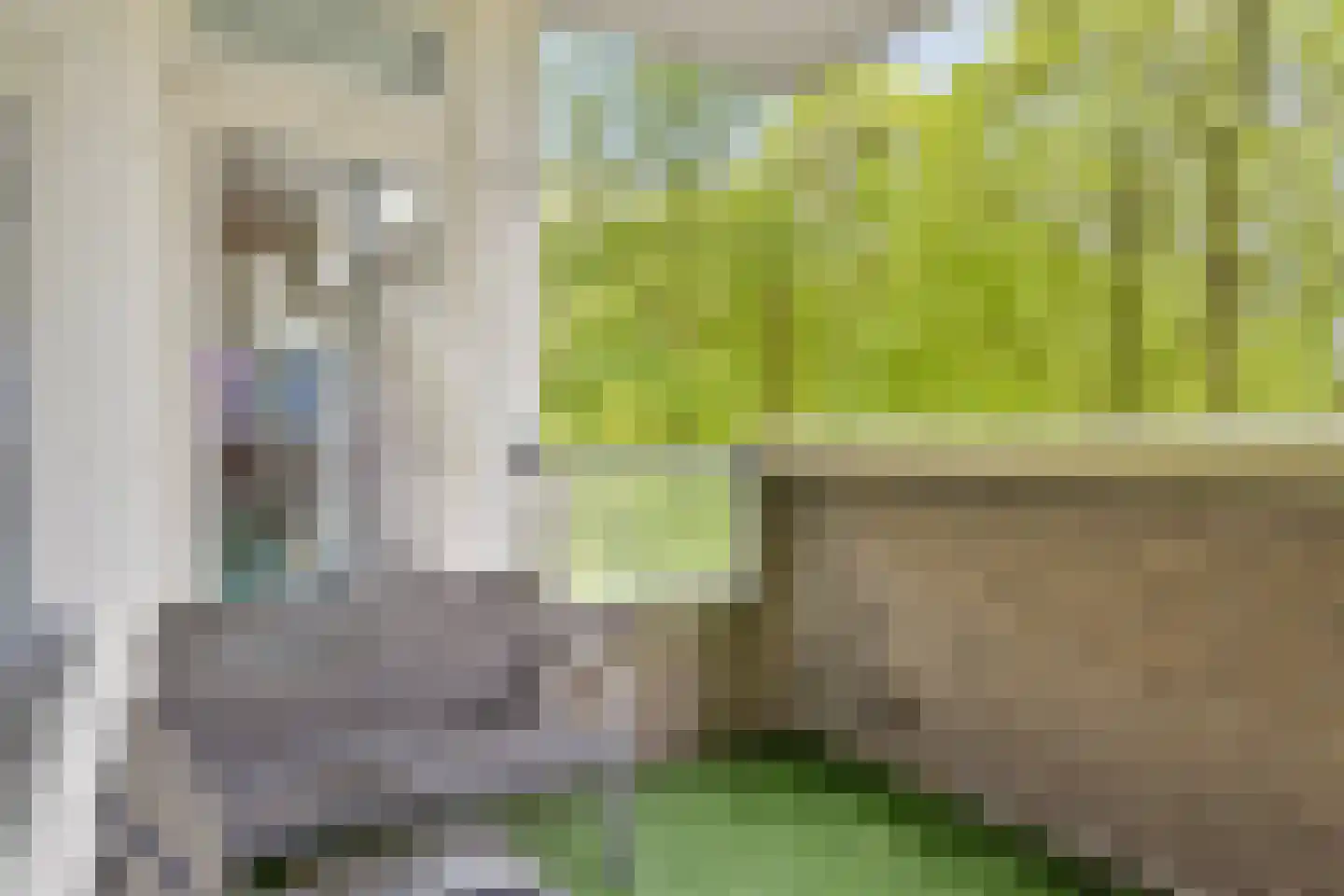 Kruisakker 26 Eindhoven thumbnail 4