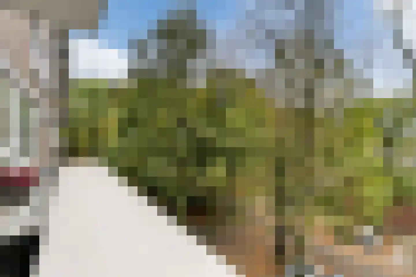 Kruisakker 34 Eindhoven thumbnail 24