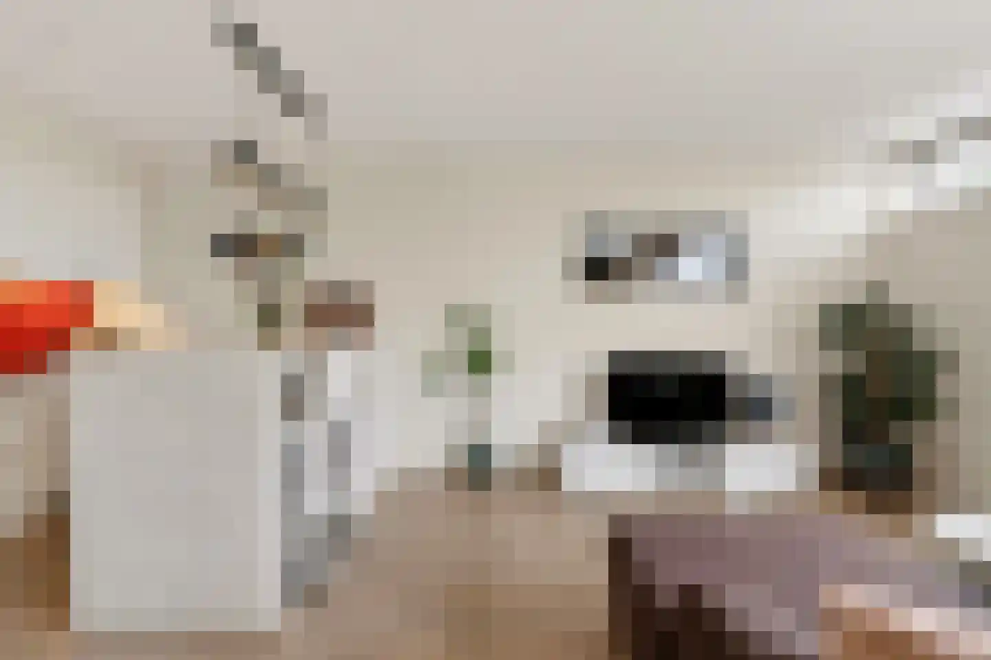 Kruisakker 34 Eindhoven thumbnail 9