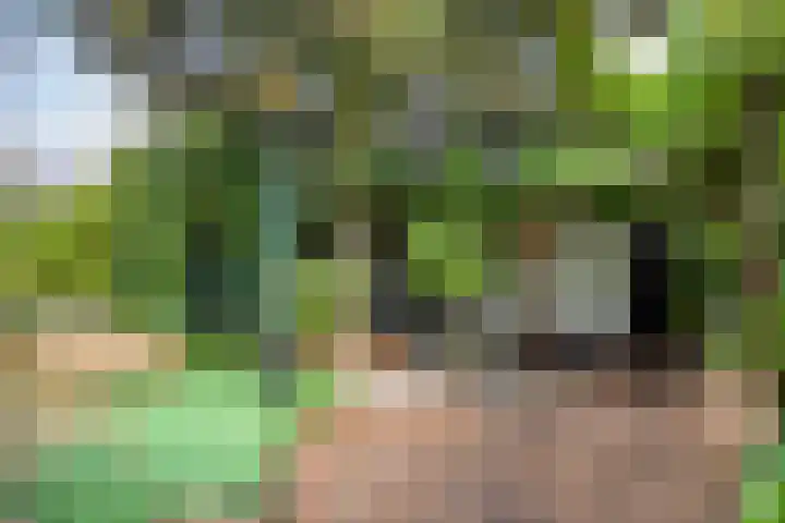Kruisakker 5 Eindhoven thumbnail 26