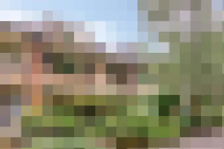 Kruisakker 5 Eindhoven thumbnail 30