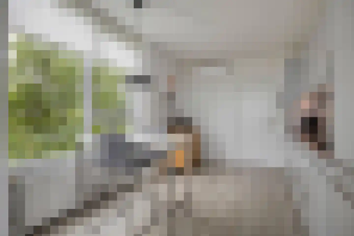 Kruisakker 56 Eindhoven thumbnail 20