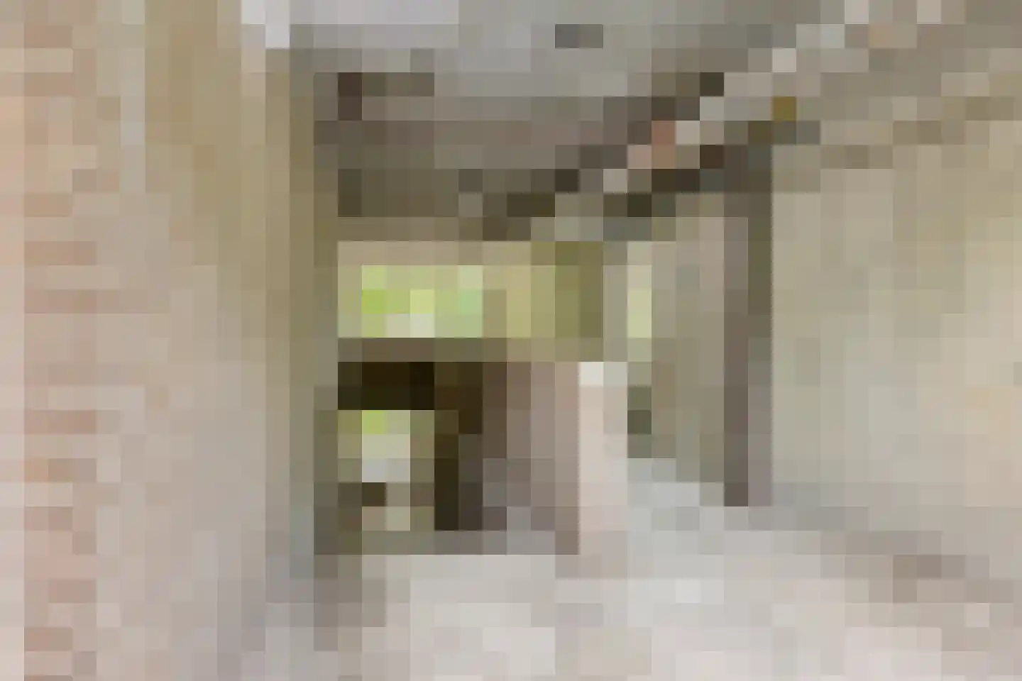 Kruisakker 56 Eindhoven thumbnail 41