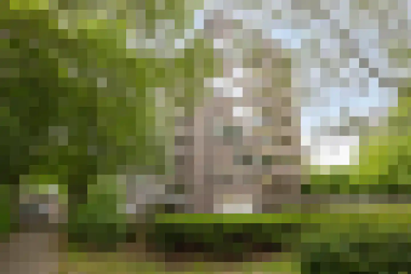 Kruisakker 56 Eindhoven thumbnail 42