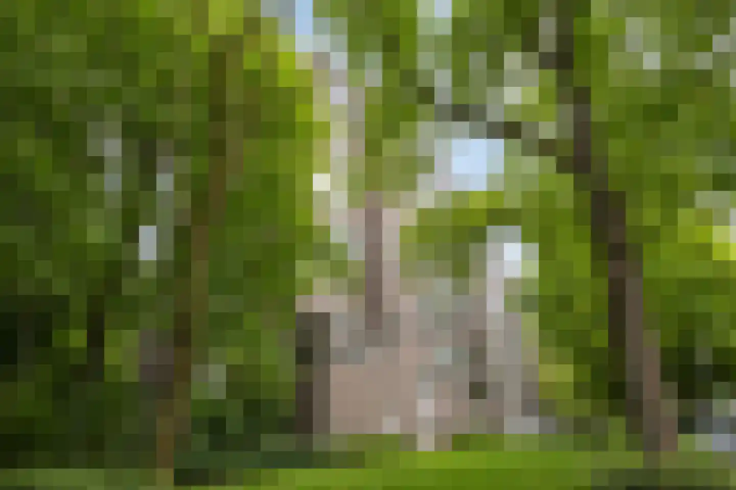 Kruisakker 56 Eindhoven thumbnail 44
