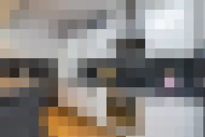 Kruisakker 6 Eindhoven thumbnail 17