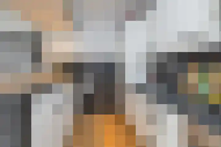 Kruisakker 6 Eindhoven thumbnail 18
