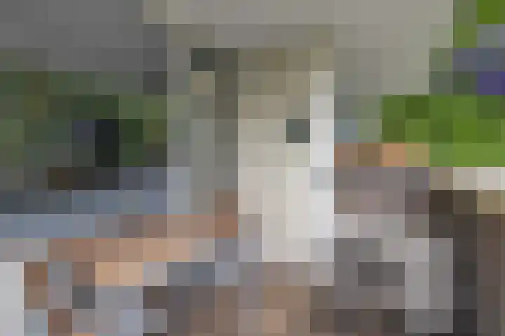 Kruisakker 6 Eindhoven thumbnail 25