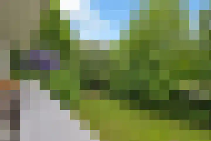 Kruisakker 6 Eindhoven thumbnail 27