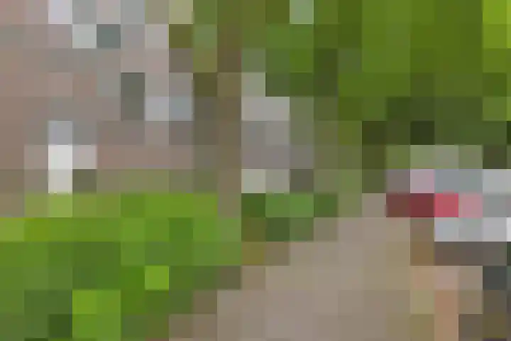 Kruisakker 6 Eindhoven thumbnail 29