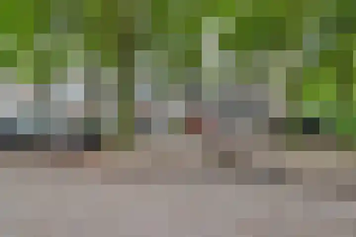 Kruisakker 6 Eindhoven thumbnail 33