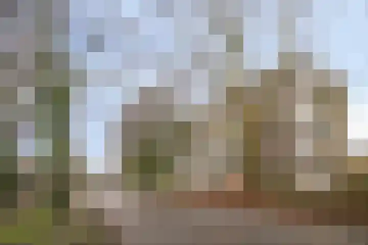Kruisakker 62 A Eindhoven thumbnail 26