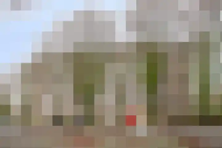 Kruisakker 62 A Eindhoven thumbnail 27