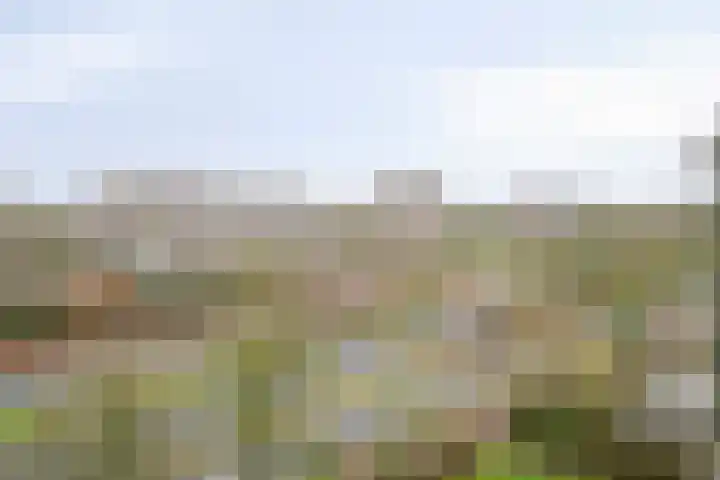 Kruisakker 62 A Eindhoven thumbnail 32