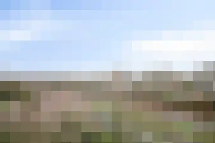 Kruisakker 62 A Eindhoven thumbnail 4