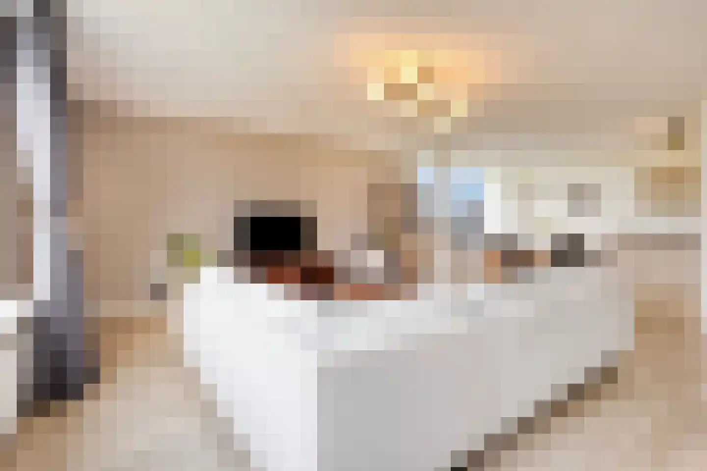 Kruisakker 68 Eindhoven thumbnail 18