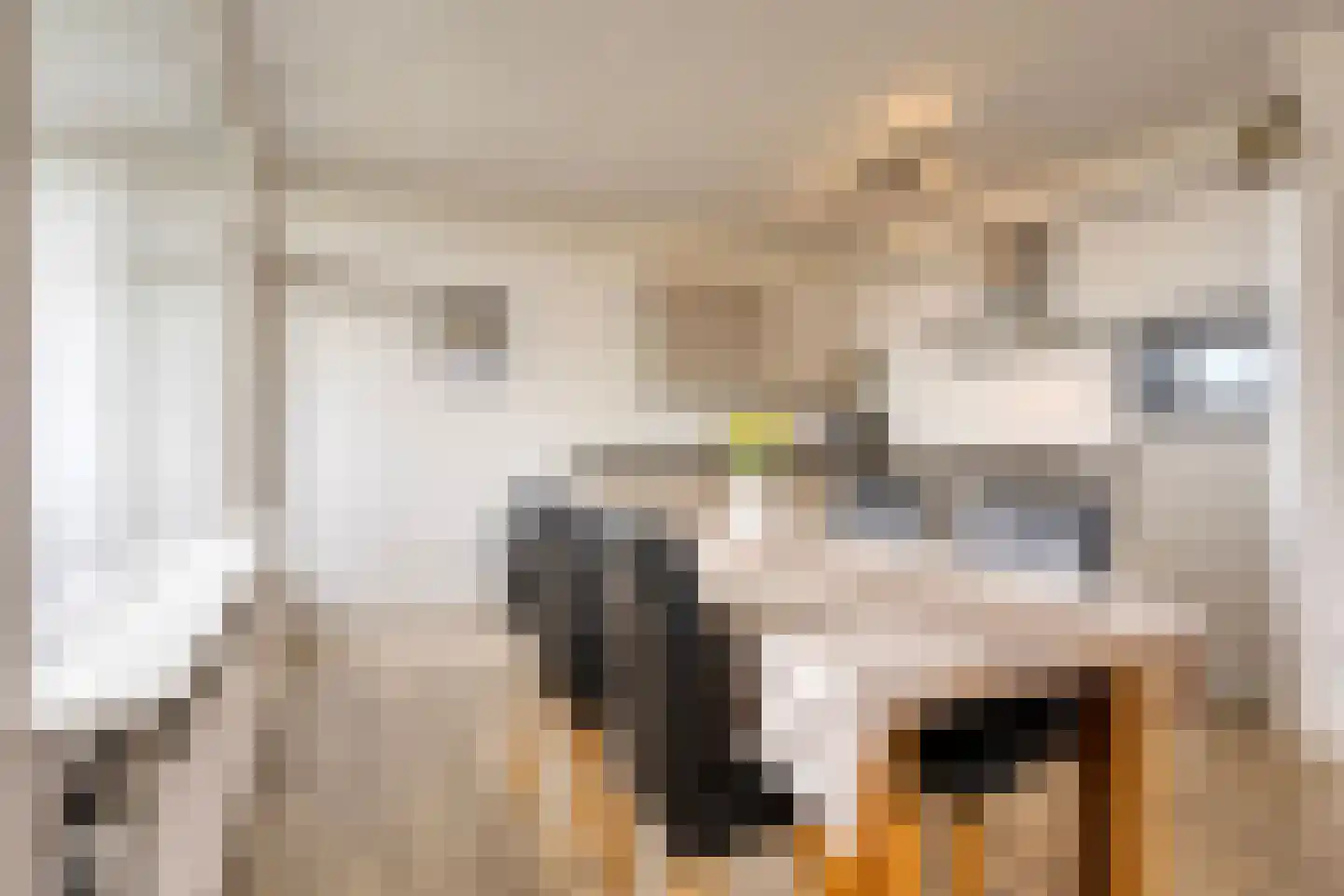Kruisakker 68 Eindhoven thumbnail 19