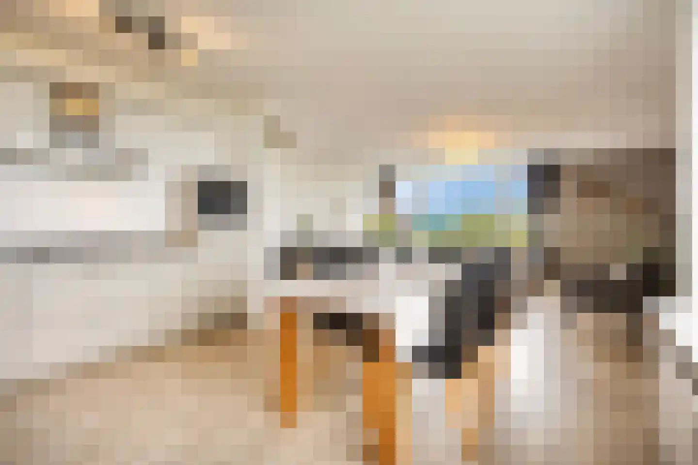 Kruisakker 68 Eindhoven thumbnail 20