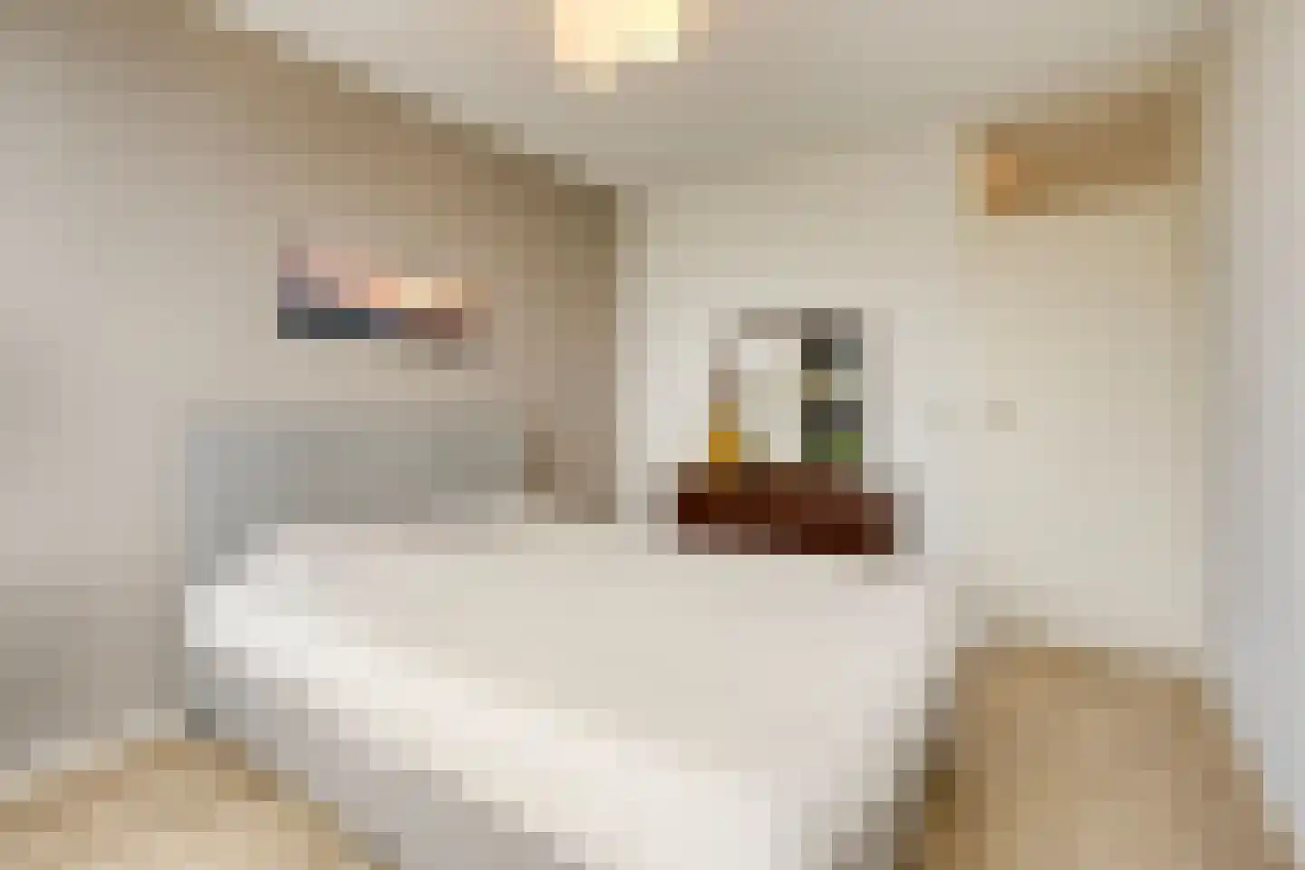 Kruisakker 68 Eindhoven thumbnail 30