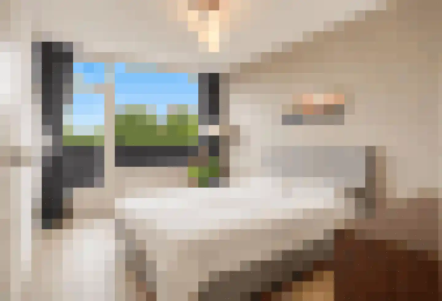 Kruisakker 68 Eindhoven thumbnail 4