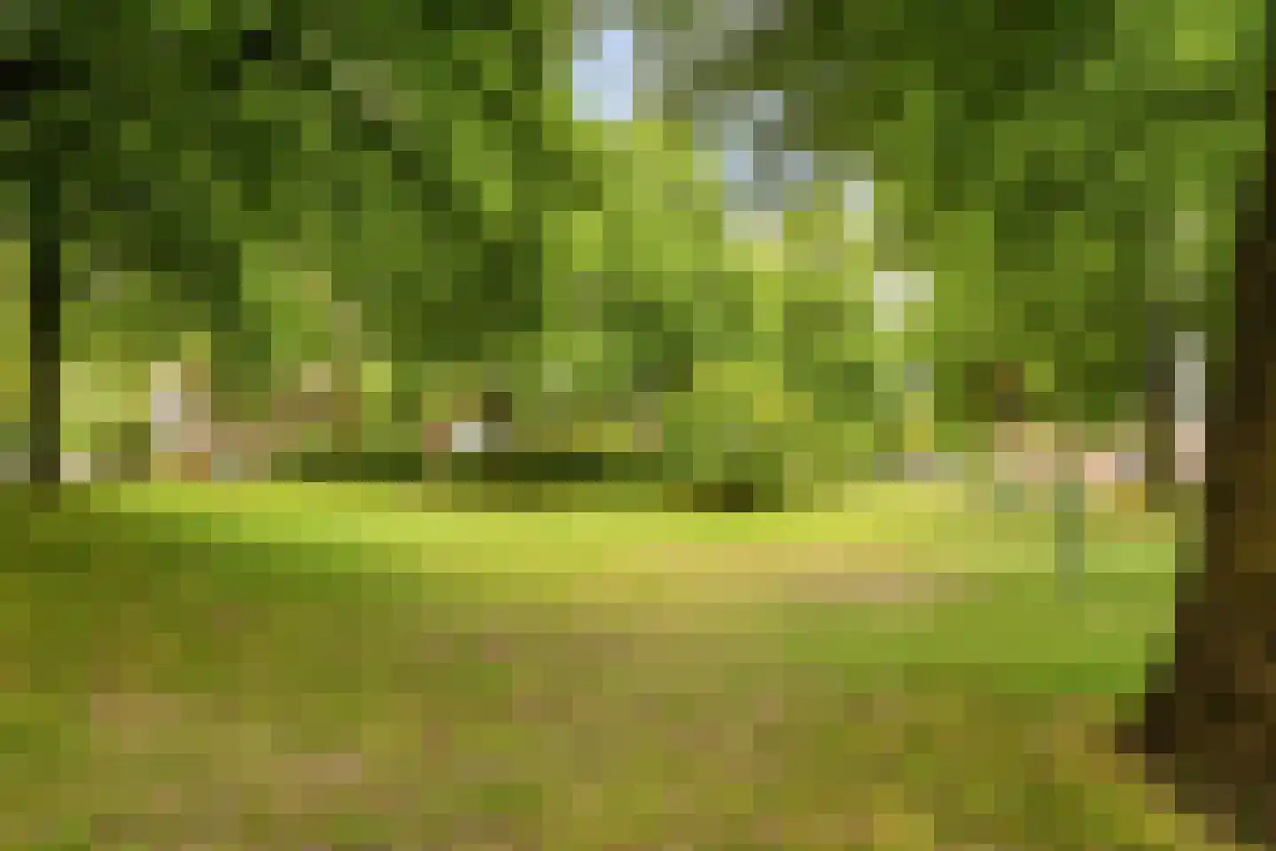 Kruisakker 68 Eindhoven thumbnail 42
