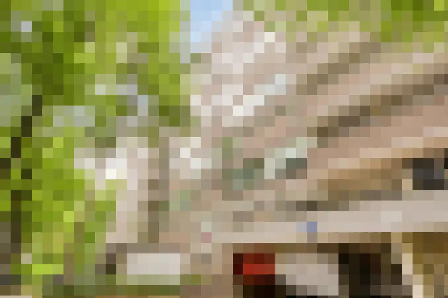 Kruisakker 68 Eindhoven thumbnail 6