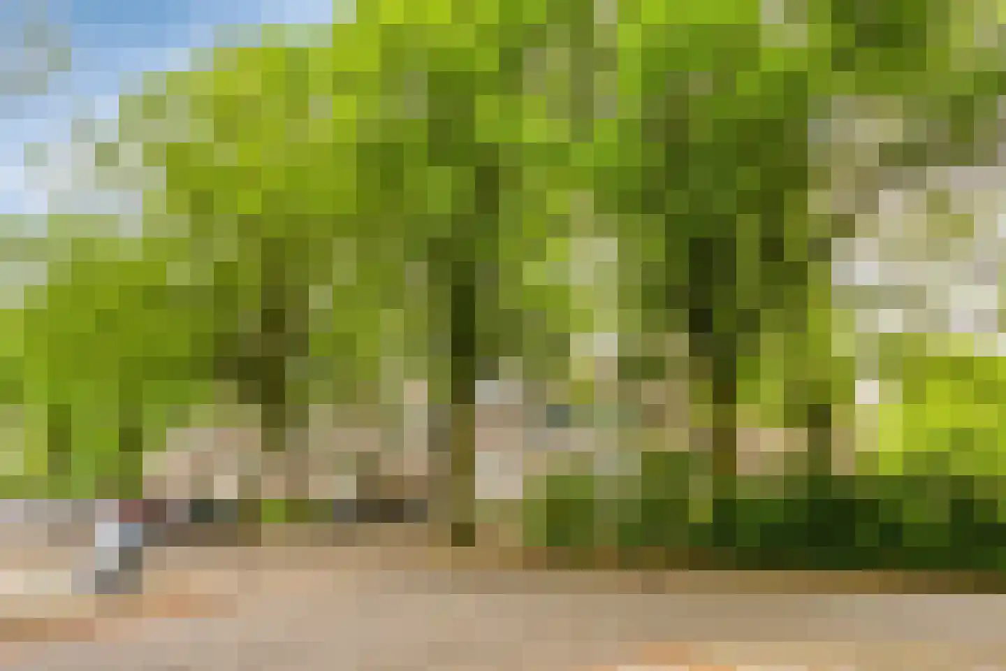 Kruisakker 68 Eindhoven thumbnail 7