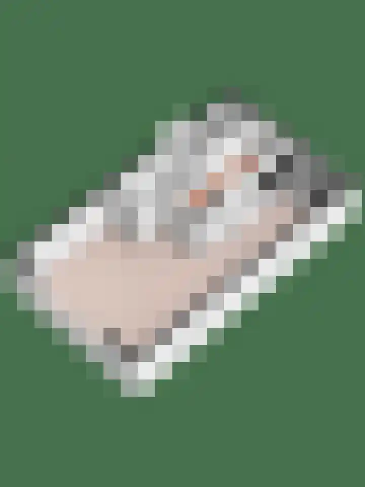 Kruisakker 7 Bathmen thumbnail 33