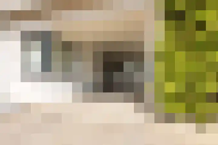 Kruisakker 7 Berkel-Enschot thumbnail 41
