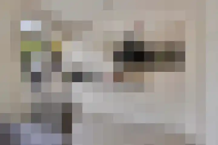 Kruisakker 82 Eindhoven thumbnail 11