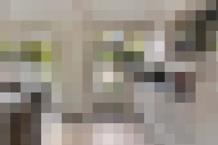 Kruisakker 82 Eindhoven thumbnail 12