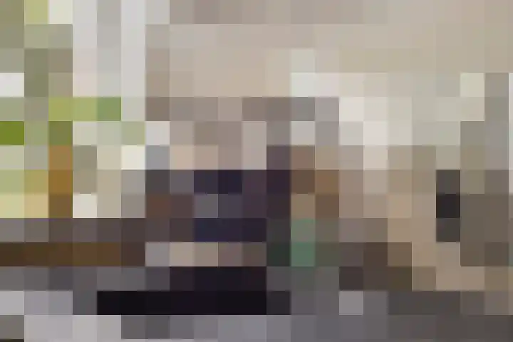 Kruisakker 82 Eindhoven thumbnail 14