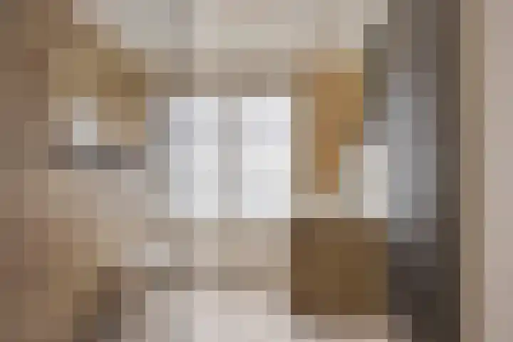 Kruisakker 82 Eindhoven thumbnail 15