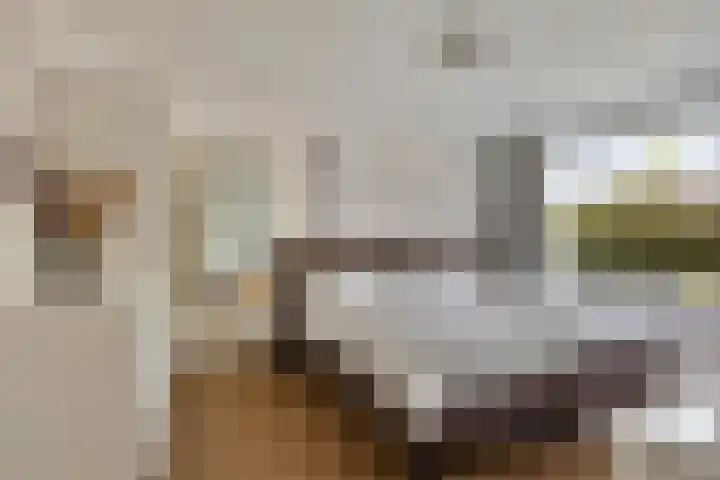 Kruisakker 82 Eindhoven thumbnail 23