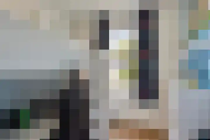 Kruisakker 82 Eindhoven thumbnail 25