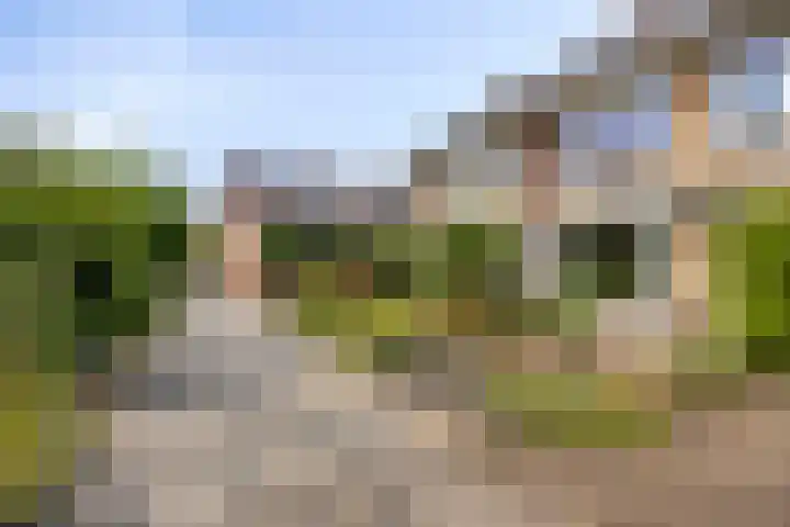 Kruisakker 82 Eindhoven thumbnail 34