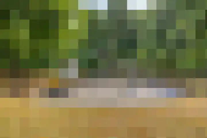 Kruisakker 82 Eindhoven thumbnail 35