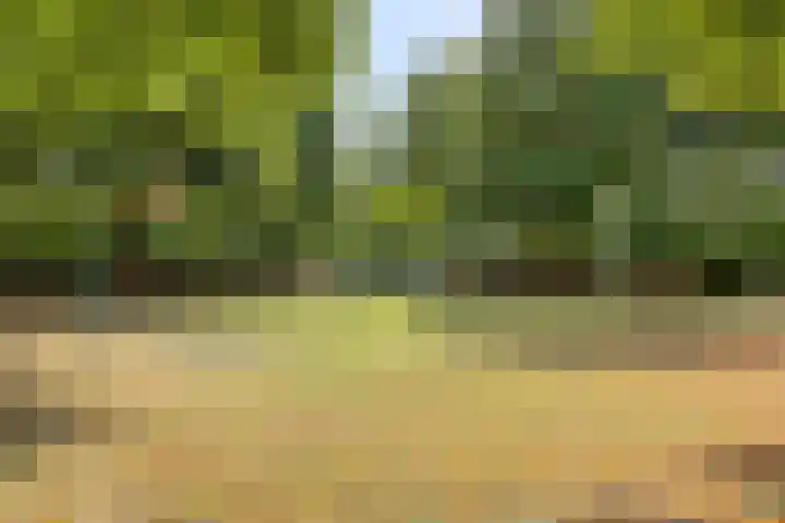 Kruisakker 82 Eindhoven thumbnail 36