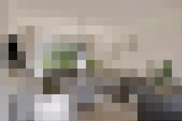 Kruisakker 82 Eindhoven thumbnail 4